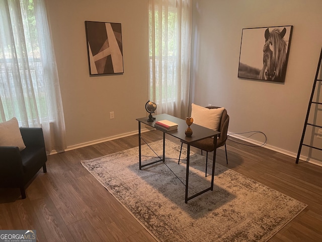 office space featuring dark hardwood / wood-style flooring and a healthy amount of sunlight