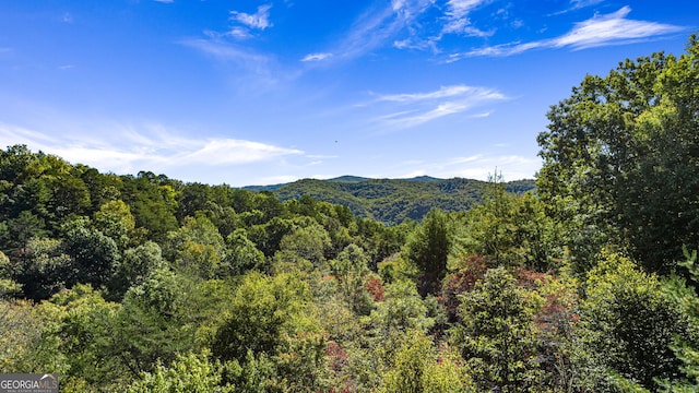 property view of mountains