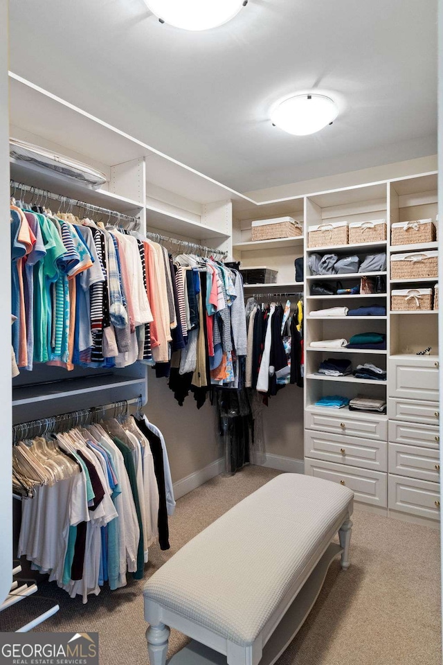 spacious closet featuring carpet