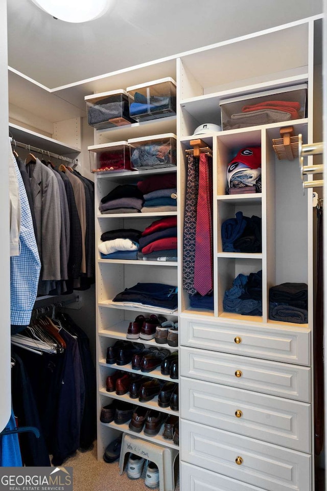 walk in closet with carpet