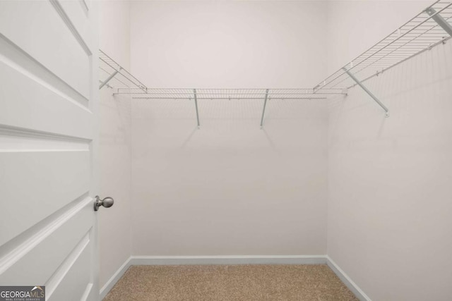 walk in closet featuring carpet floors