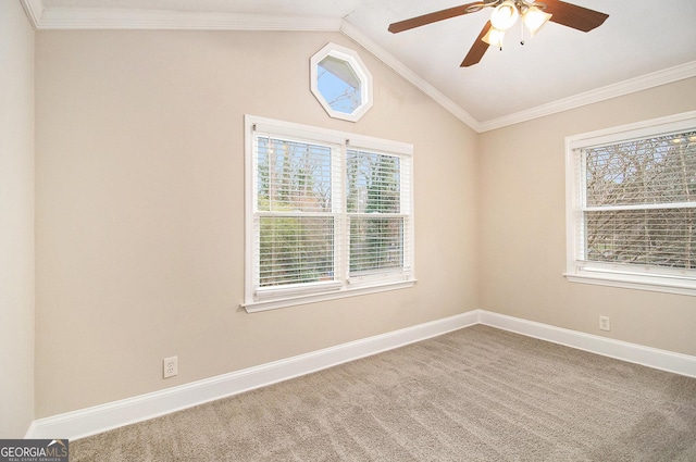 carpeted spare room with lofted ceiling, ceiling fan, and crown molding