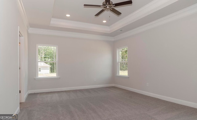 empty room featuring a tray ceiling, plenty of natural light, and crown molding