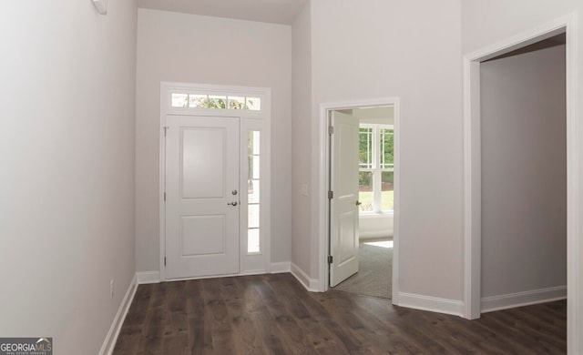 foyer entrance with dark hardwood / wood-style flooring