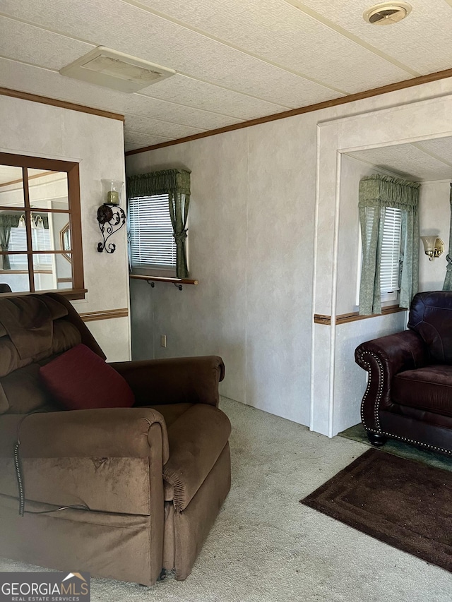 living room with crown molding, carpet, a healthy amount of sunlight, and a textured ceiling