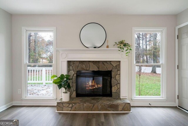 room details with wood-type flooring and a stone fireplace