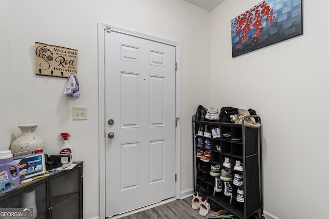 foyer entrance featuring hardwood / wood-style flooring