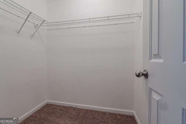 walk in closet with carpet