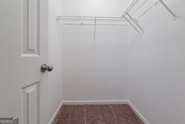 walk in closet with carpet