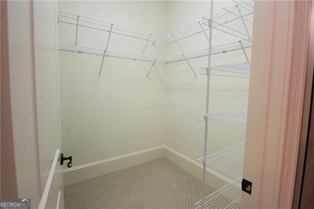 view of spacious closet