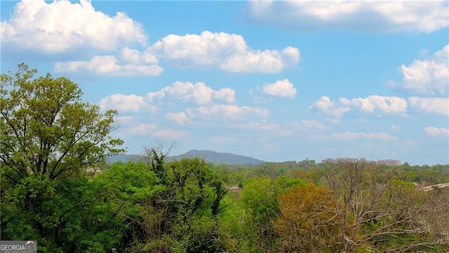 view of mountain background with a forest