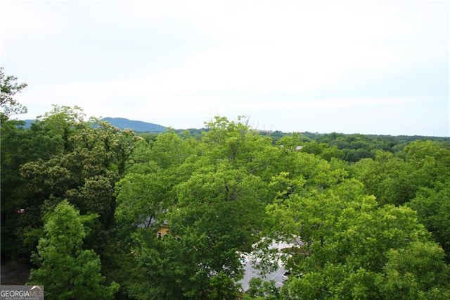 view of mountain backdrop with a forest