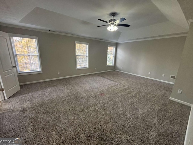 spare room with plenty of natural light, a raised ceiling, and carpet floors