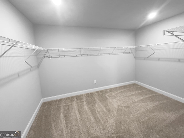 walk in closet featuring carpet flooring