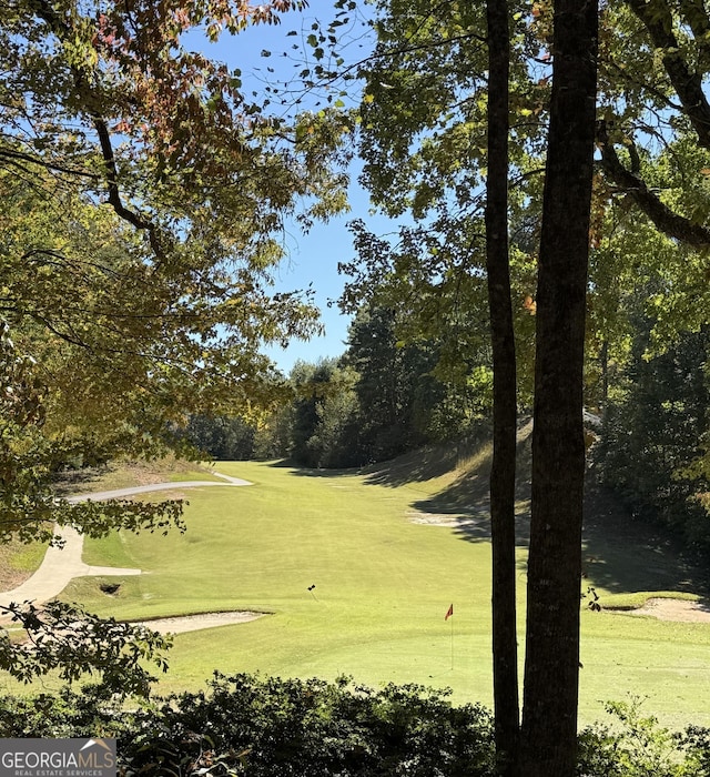 view of community featuring a lawn