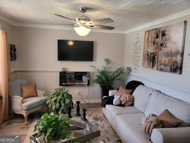 living room featuring hardwood / wood-style flooring, ceiling fan, ornamental molding, and a textured ceiling