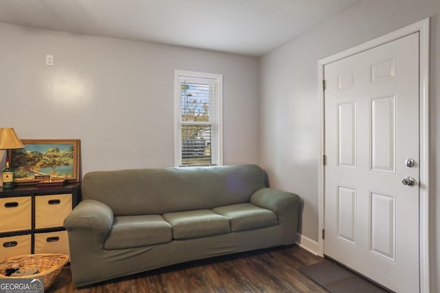 living room with dark hardwood / wood-style flooring