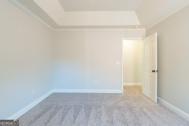 carpeted empty room featuring a tray ceiling and ornamental molding