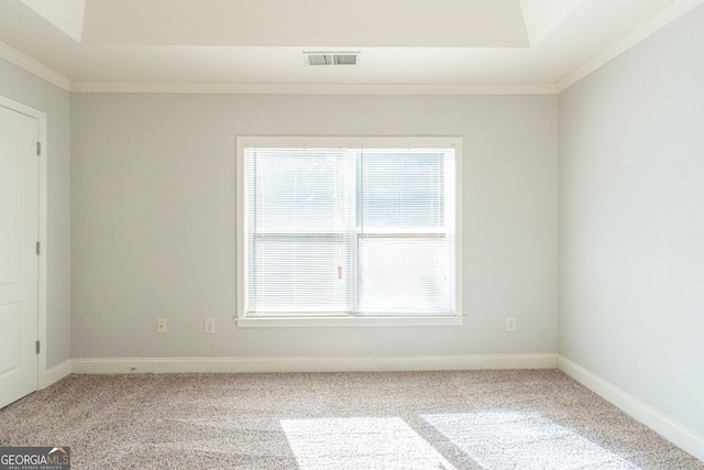 spare room featuring crown molding, carpet flooring, and a raised ceiling