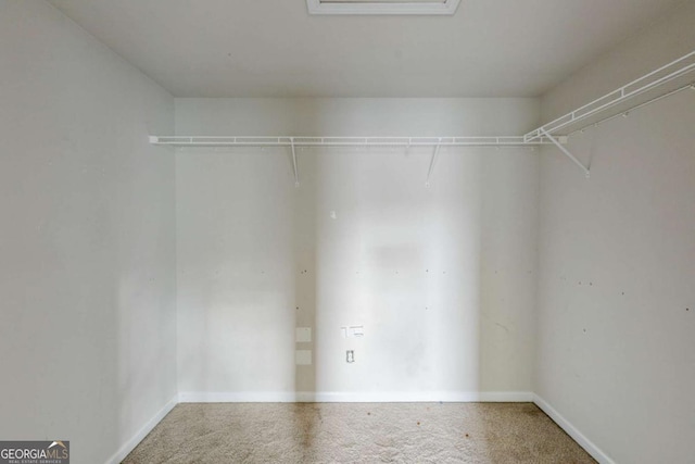 spacious closet with carpet floors