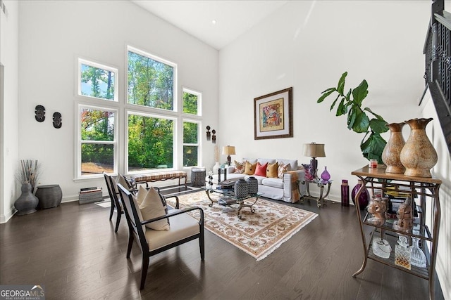 living room with a towering ceiling, dark hardwood / wood-style floors, and plenty of natural light