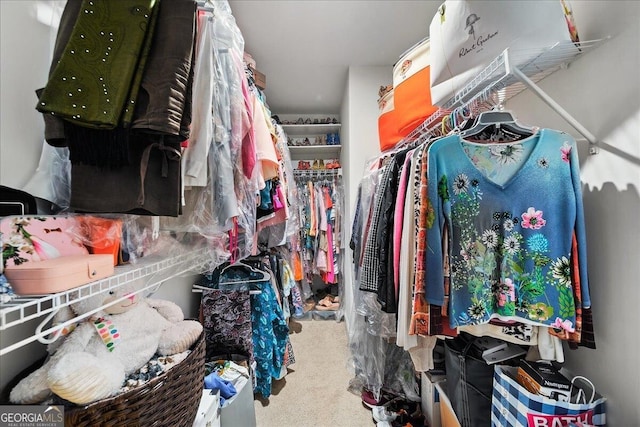 walk in closet with carpet flooring