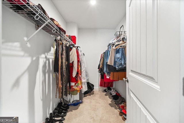 spacious closet featuring carpet floors