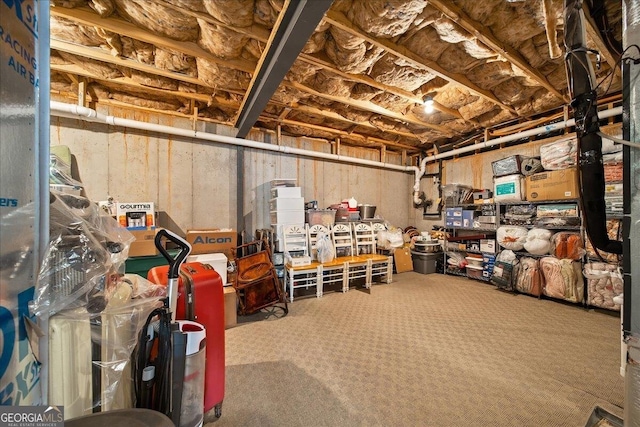 basement with carpet flooring