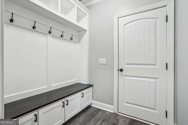 mudroom with dark wood-type flooring