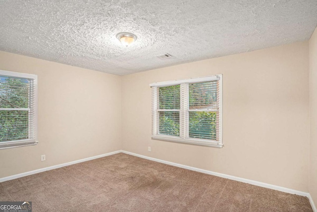 carpeted empty room with a textured ceiling and a wealth of natural light