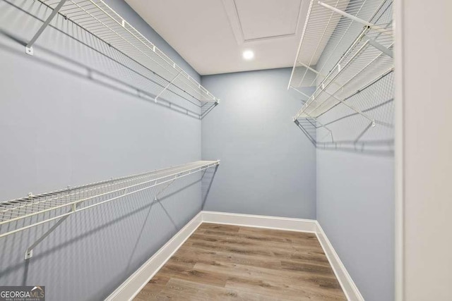 walk in closet with hardwood / wood-style floors