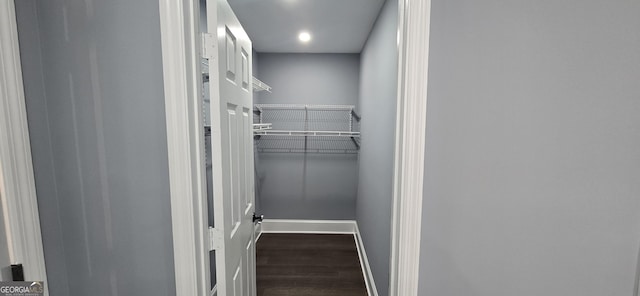 spacious closet with hardwood / wood-style floors