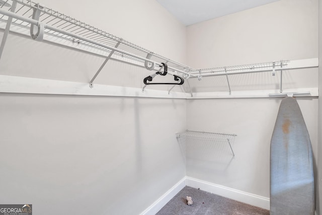 walk in closet featuring carpet flooring