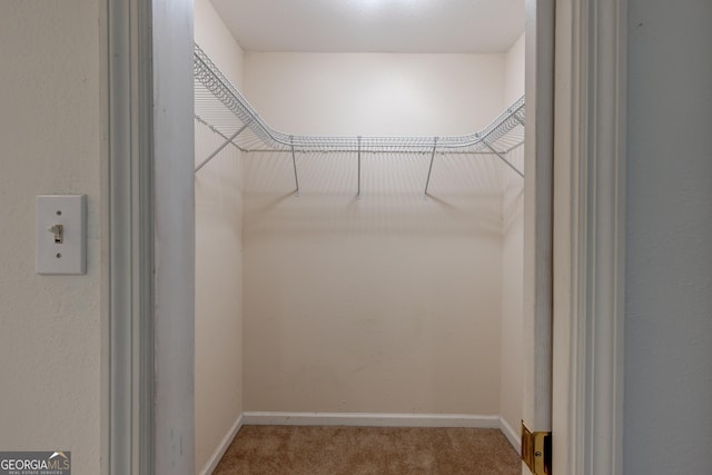 walk in closet featuring carpet floors