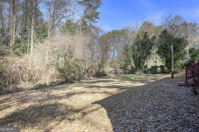 1471 Cedar Creek Ln, Riverdale, GA 30296 - view of yard