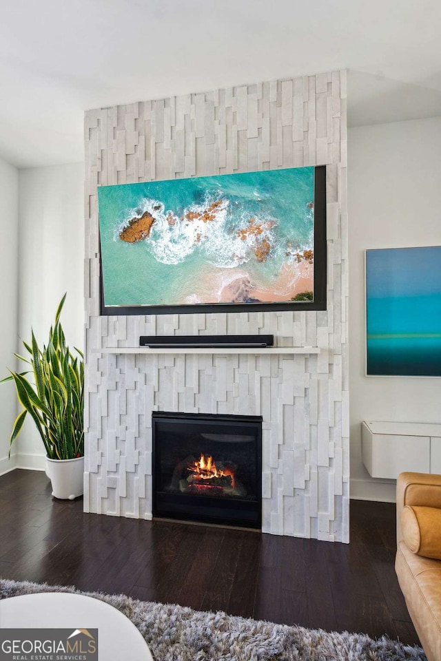 room details with hardwood / wood-style flooring and a fireplace