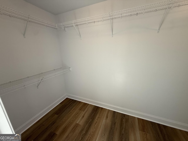 spacious closet featuring wood finished floors