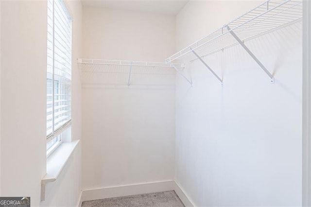 spacious closet with carpet floors