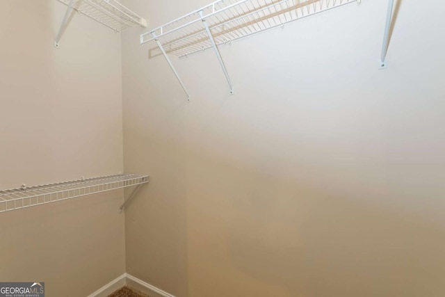 view of spacious closet