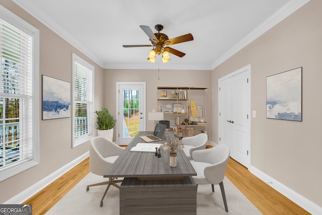 interior space with light hardwood / wood-style flooring, ceiling fan, and crown molding