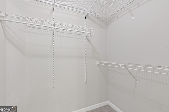 view of walk in closet