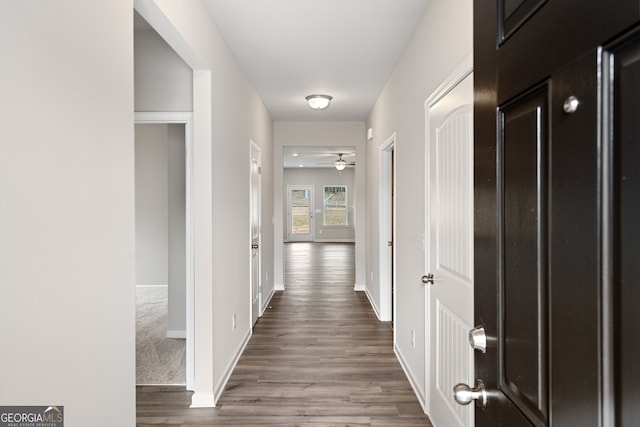 hall with hardwood / wood-style flooring