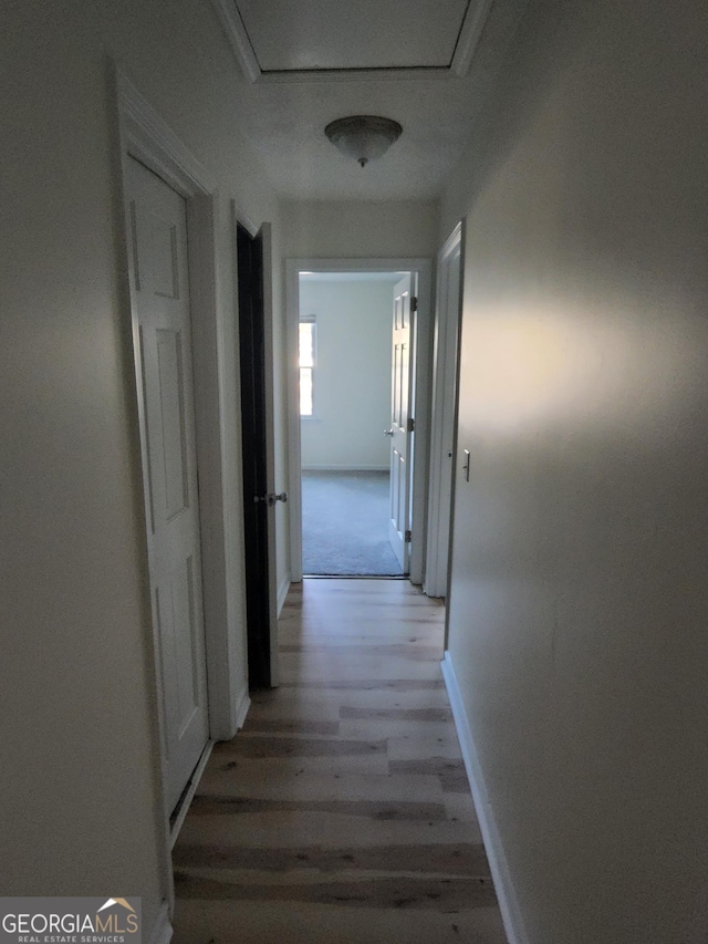 hall featuring light hardwood / wood-style floors