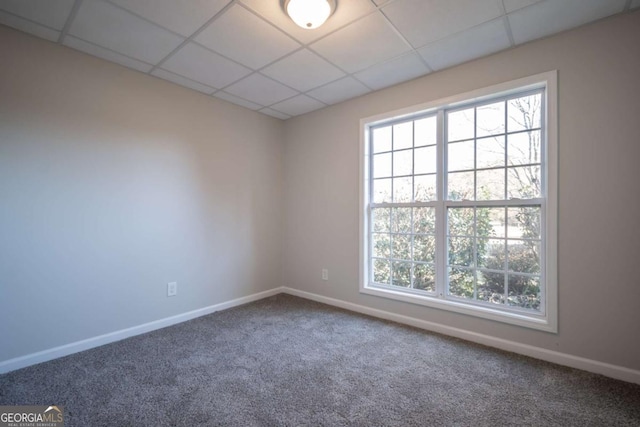 spare room featuring carpet flooring and a drop ceiling