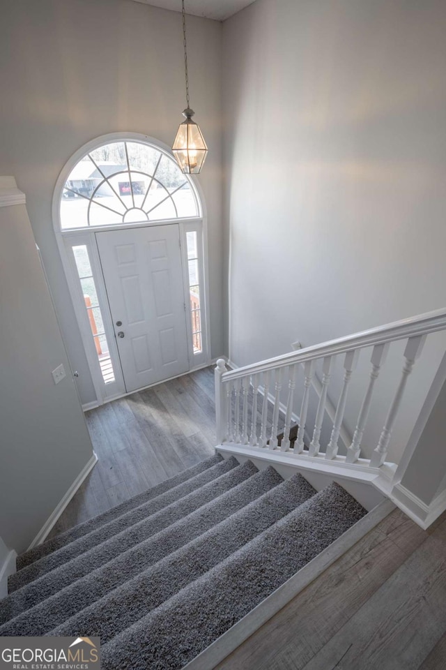 entryway featuring hardwood / wood-style floors and a high ceiling