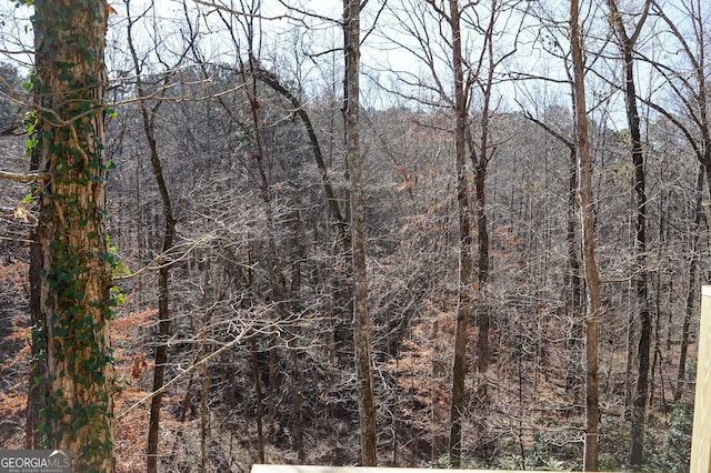 view of local wilderness