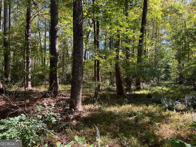 5334 Pounds Dr N, Stone Mountain, GA 30087