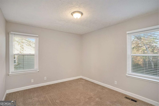 unfurnished room featuring carpet, a healthy amount of sunlight, and a textured ceiling