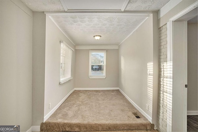 carpeted spare room featuring crown molding and a textured ceiling