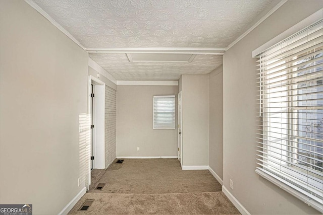 carpeted spare room featuring crown molding, a textured ceiling, and a wealth of natural light